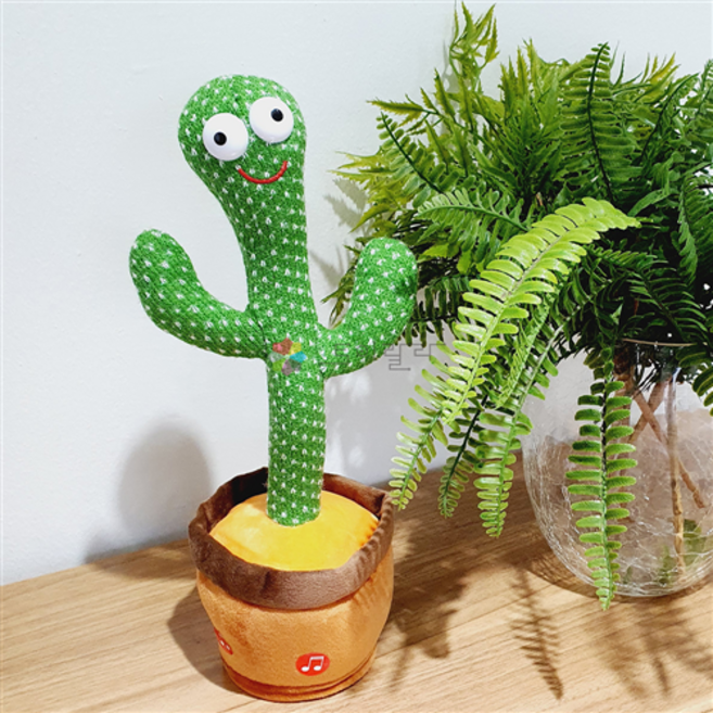 토이랄라 말따라하는 선인장, 일반, 1개