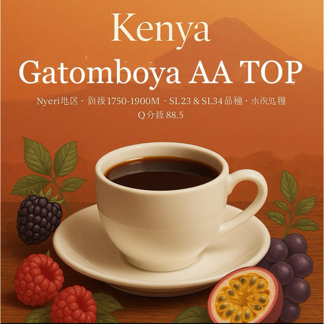 肯亞 涅里 Gatomoboya AA TOP 咖啡豆 水洗 SL23 SL34 品種 Q分數88.5, 1個, 1kg
