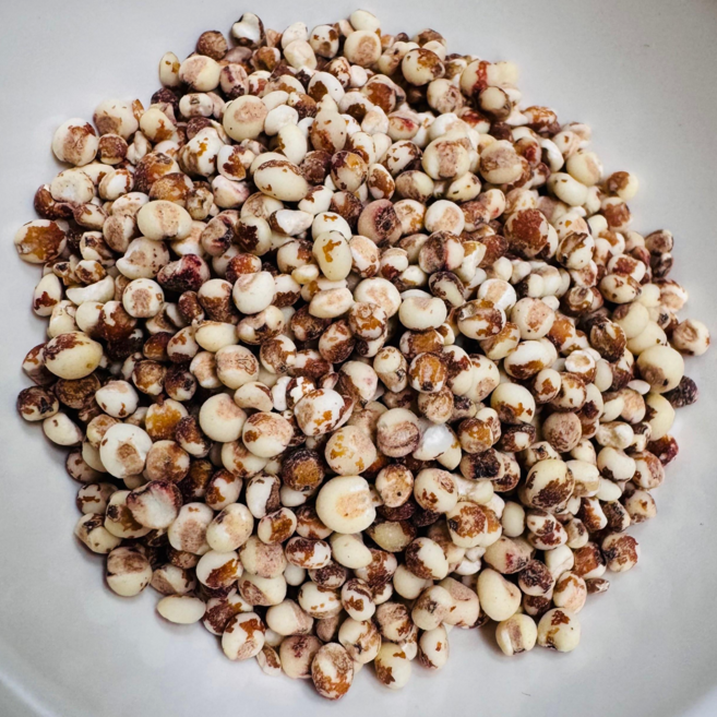 영원농산 25년산 중국산 특찰수수 찰수수쌀 품질 수수쌀, 1개, 1kg