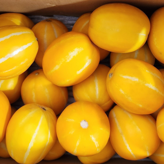 <가람> 초특가 당도 높은 성주 꿀 참외 아삭한 햇 참외, 1박스, 10kg 꼬마참외(가정용)