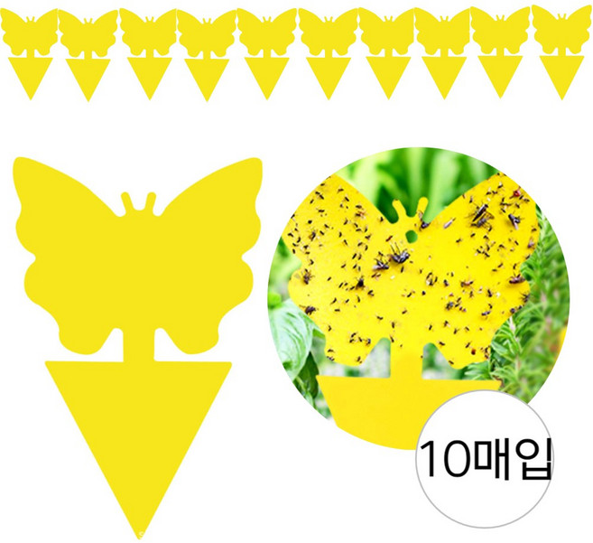 우아한클릭 날파리 퇴치 끈끈이 트랩, 1개, 10개입