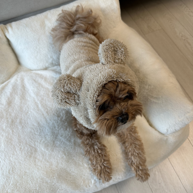 헬로우댕 애완용 양털 워머, 1개, 베이지