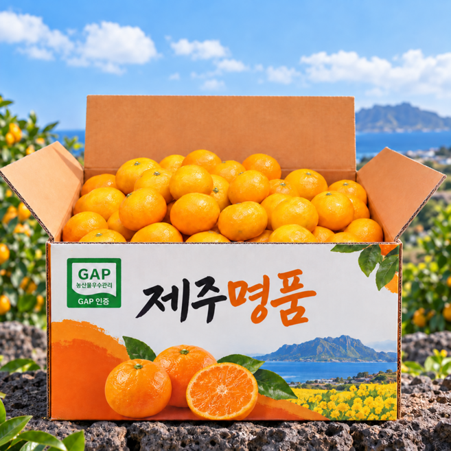 [GAP인증] 예설원 제주직송 스테비아농법 햇 노지감귤, 1박스, 5kg 로얄과