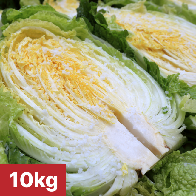[여수진이네] 당일제조 국내산 여수 절임배추, 1개, 10kg