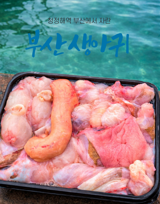 조업 발송 국내산 생아귀 1KG (원산지 : 부산광역시), 1개, 1,kg