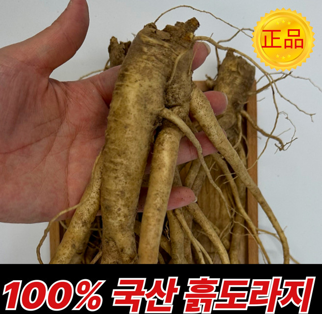 [오늘특가] 국산 도라지 흙 약도라지, 1박스, 단하루특가 흙도라지_1KG 실속