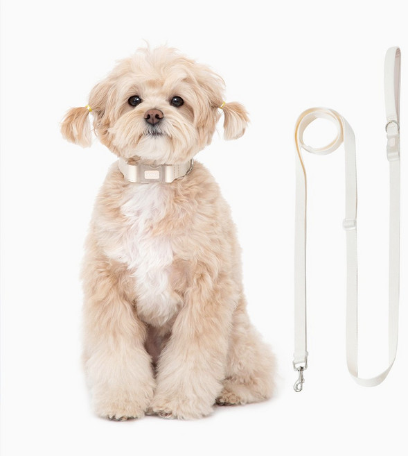펫펫펫 강아지 목줄 + 리드줄 세트, 베이지, 1개