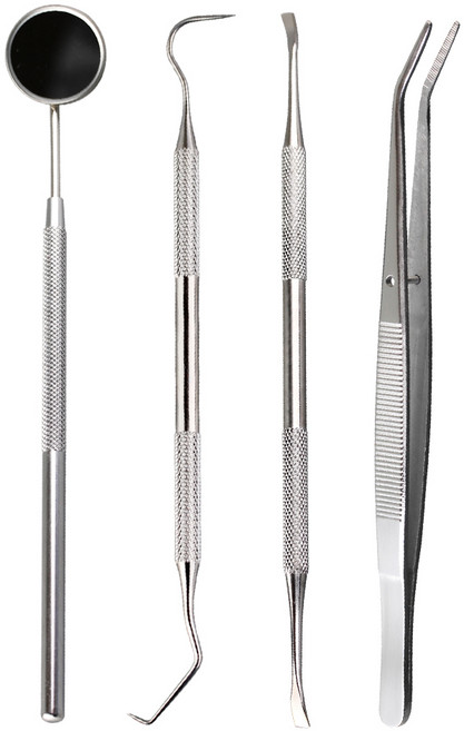 의료용 셀프 치경 치석제거기 4종세트 스케일링 치아관리 치석제거 치과기구, 1세트