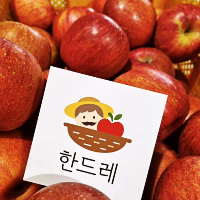 한드레경북부사사과 고당도 꿀부사, 1개, 부사/정품/5kg 14-16과