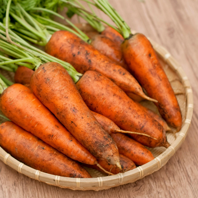 [재구매율 1위]국내산 제주 구좌 흙 햇 아삭 당근, 1박스, 1kg(중)