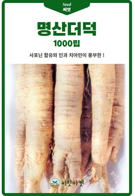명산 더덕 씨앗 1000립 사포닌 함유 더덕씨 종자, 3개