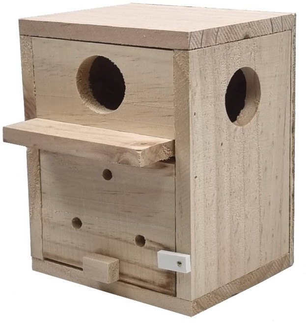 애니몰파크 잉꼬나무알통 소형앵무새 원목알통 번식전용알통 둥지 은신처 새집 새용품 잉꼬 사랑앵무새알통, 1개