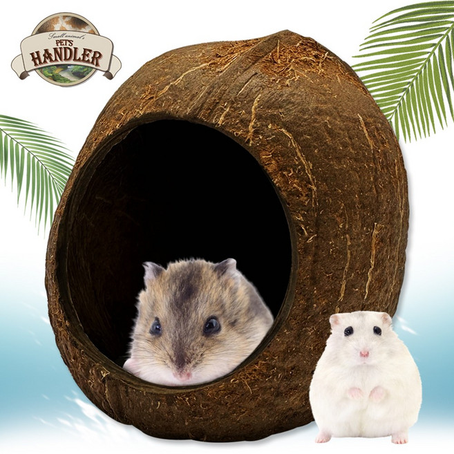 펫츠핸들러 실론 코코넛 쉘 소동물 은신처 하우스, 3/4컷 원형입구 은신처 하우스, 1개