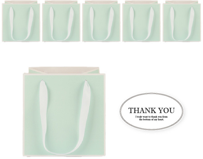 빛공 정사각 고급 미니 선물 쇼핑백 종이가방, 6개, 민트