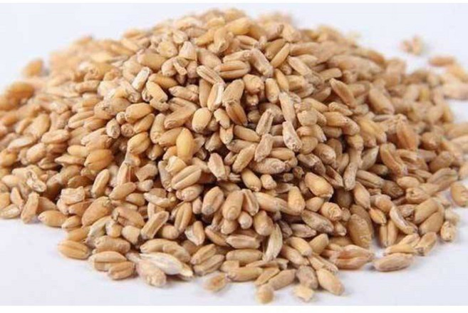 優選小麥 600G 美國產, 1個