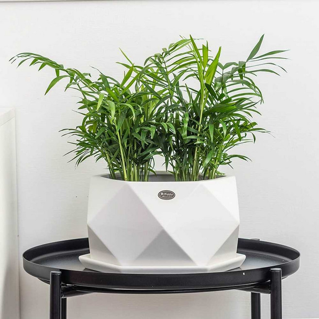 북유럽 세라믹 화분 입구가 큰 테이블 장식 인테리어, 1개, 도자기 녹색 유광 대