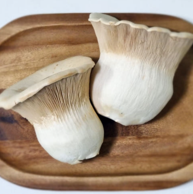 산지 직 송 못난이 무농약 설원버섯 1kg 사이즈 랜덤 617568