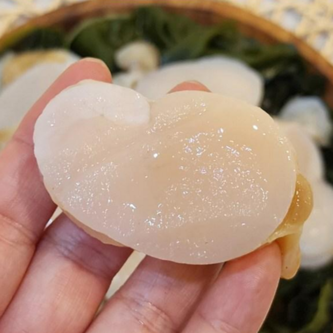 국산 자연산 손질 생물 키조개 관자 순살 1kg, 1개, 생물 손질 키조개 1kg (날감지 포함)