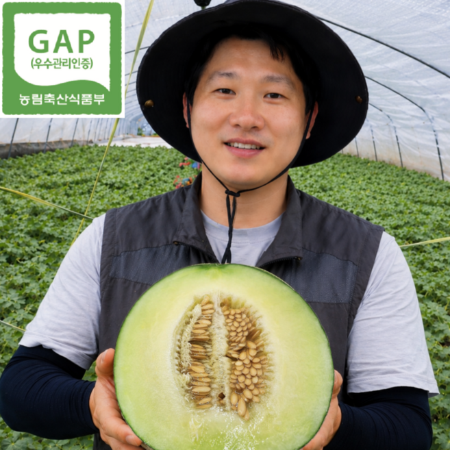 [상위1%] 고당도 산지직송 프리미엄 머스크 메론, 1박스, 1.2kg