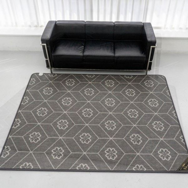 무자계 한일 뜨끈뜨근한 온열 기 육각 매트 의료 장판 전기 거실 대형 특