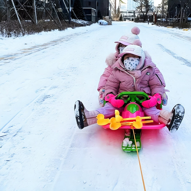 자유창구백화점 등받이 핸들 눈썰매 어린이 유아 단독KC인증, 레드, 1개