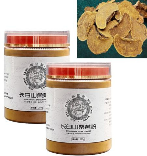 자연산 뽕나무 상황버섯 분말 500g 백두산 장백산 가루 상황버섯차, 1개
