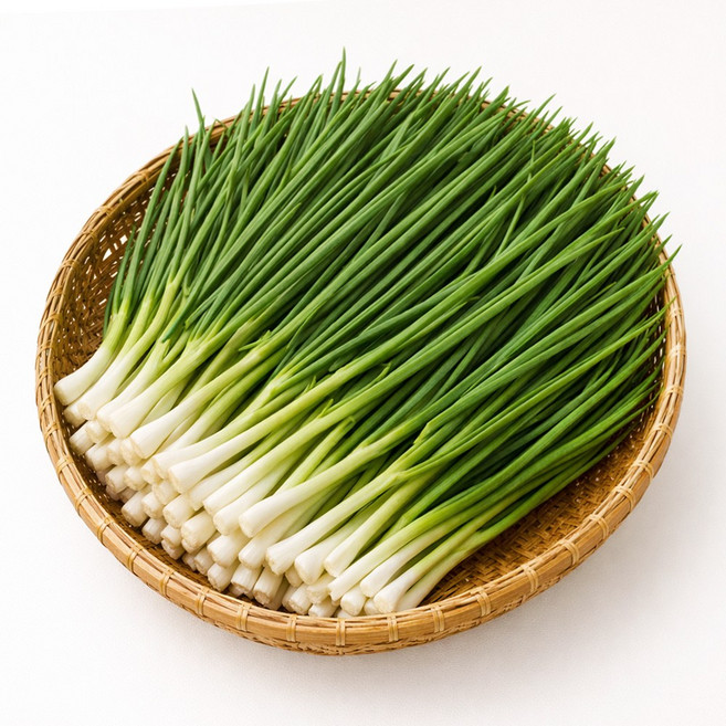 국내산 손질 깐쪽파 깨끗한 쪽파 벌크 [SHN], 1박스, 1kg