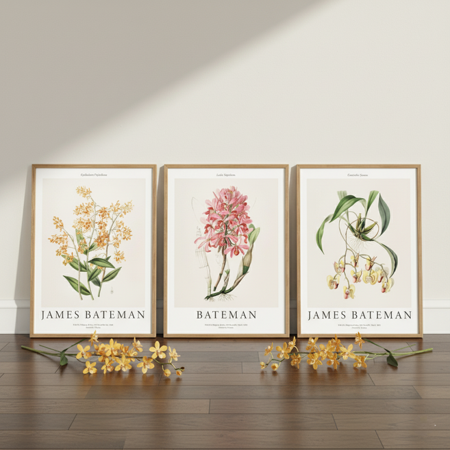 컨티뉴 명화 제임스 베이트먼 프리미엄 3종 포스터 세트 A3 42cm