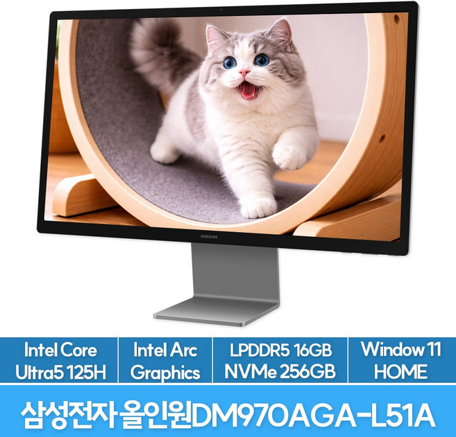 삼성전자 올인원 프로 DM970AGA-L51A, WIN11 Home, 256GB, 16GB, 그레이