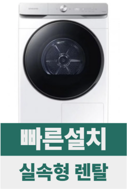 [전국무료설치/렌탈] [삼성] AI 건조기 21kg 화이트, DV21DG8600BW