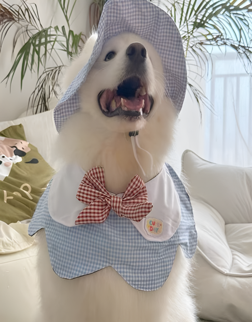 [노아르] 강아지 체크 모자 망토 세트 귀여운 반려견 여름 외출복 케이프 스카프 코스튬 소형견 대형견, 1개, 블루