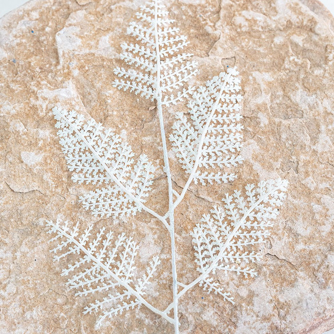 크리스마스 샤인펄가지, 1개, 화이트