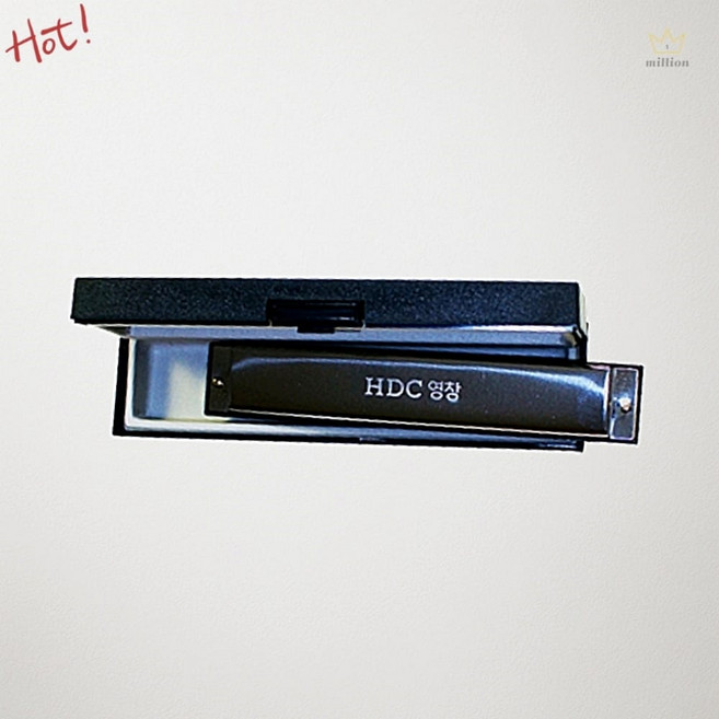 SCS 하모니카 트레몰로 24홀 C키 연주용 관악기 악기 교육용 악기하모니카