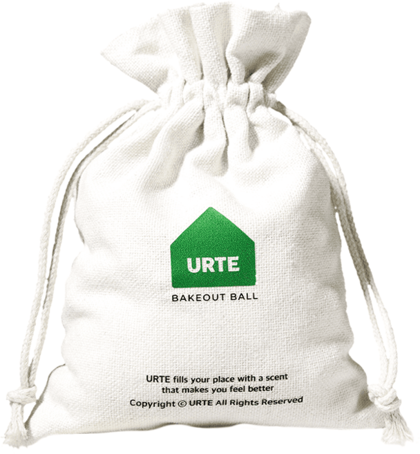 새집증후군 제거제 베이크아웃 천연탈취제 베이크아웃볼 포레스트, 200g, 1개