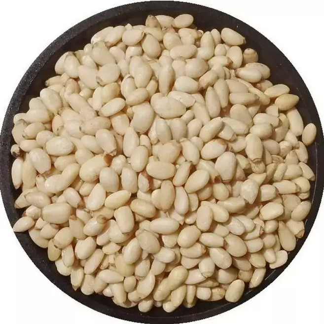 구운 잣 중국 동북산 500g JIKTEM WW6012008, 단품, 1