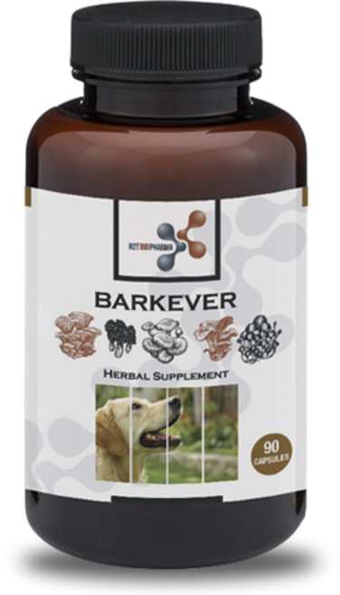 동충하초 각종 약용버섯 추출물로 만든 비타민 바크에버 반려견에 최대 영양소 제공 면역증강 보충제 사람이 복용하는 동급 원료 사용, 1개