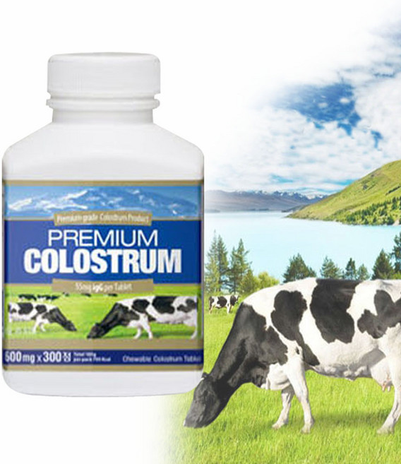 뉴질랜드산 프리미엄 초유 콜로스트럼 씹어먹는 츄어블 비타민B 대용량 뉴질랜드 직구 청소년 성장기 어린이 키즈 아동 타블렛 캔디, 1개, 300정