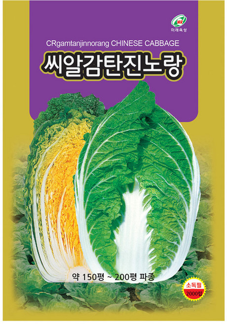 씨알감탄진노랑배추 2000립 배추씨앗 배추종자 가을배추씨앗 김장배추씨앗, 1개
