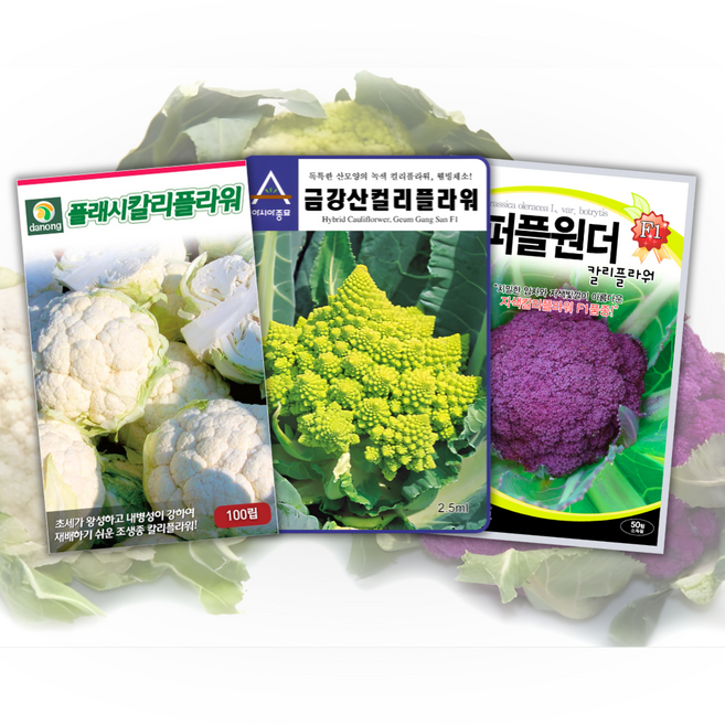 [주주씨앗] 컬리플라워 씨앗 3봉세트 / 다양한 색상의 웰빙채소 꽃양배추 칼리플라워 종자, 1개