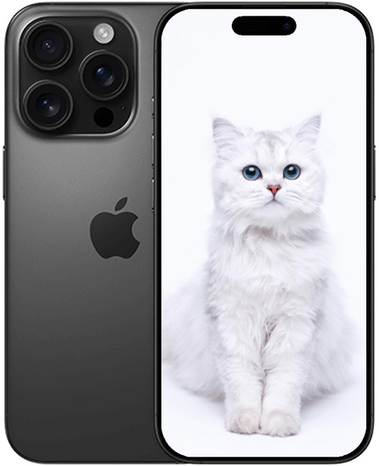 AIP 16 프로 새상품 미개봉, 256GB, 블랙 아이폰 16 Pro