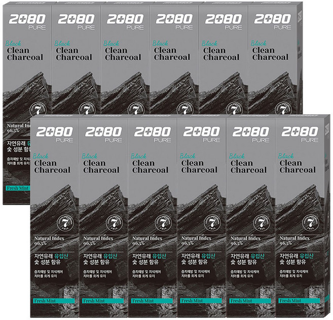 2080 퓨어 블랙치약 차콜 민트향 125g, 12개