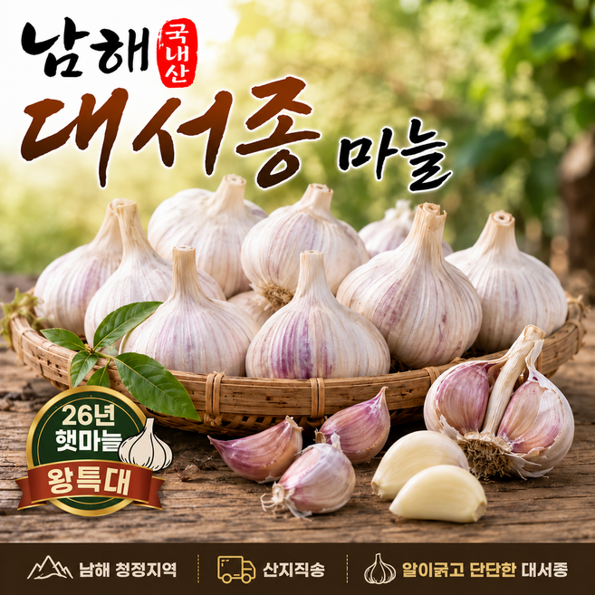 [햇마늘특가] 헤드스톤 남해 대서종, 1개, 왕특 반접 (50개 내외)