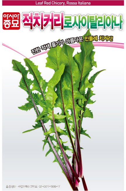 [주주씨앗] 적경치커리 씨앗 1500립 / 적색 줄기가 아름다운 민들레 치커리 종자 / 여름 파종 채소씨 씨앗몰, 1개