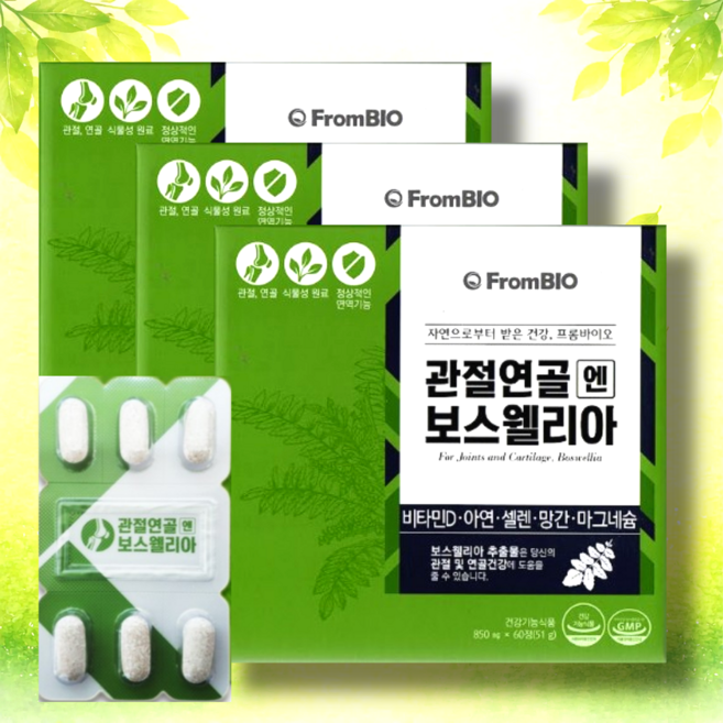 프롬바이오 관절연골엔 보스웰리아 플러스, 60정, 3개