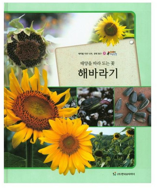 올빼미 자연관찰 26 태양을 따라 도는 꽃 해바라기 (식물), 한국슈타이너