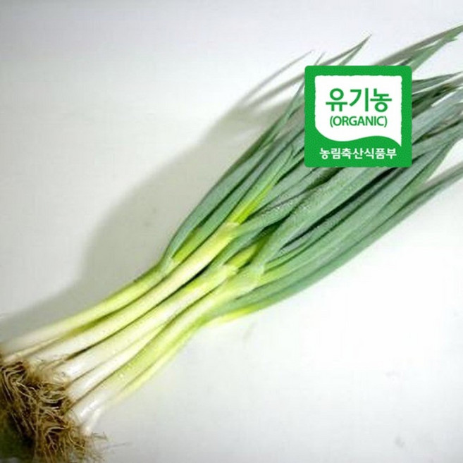 엔젤농장 유기농 대파 흙대파 생대파, 1개, 500g
