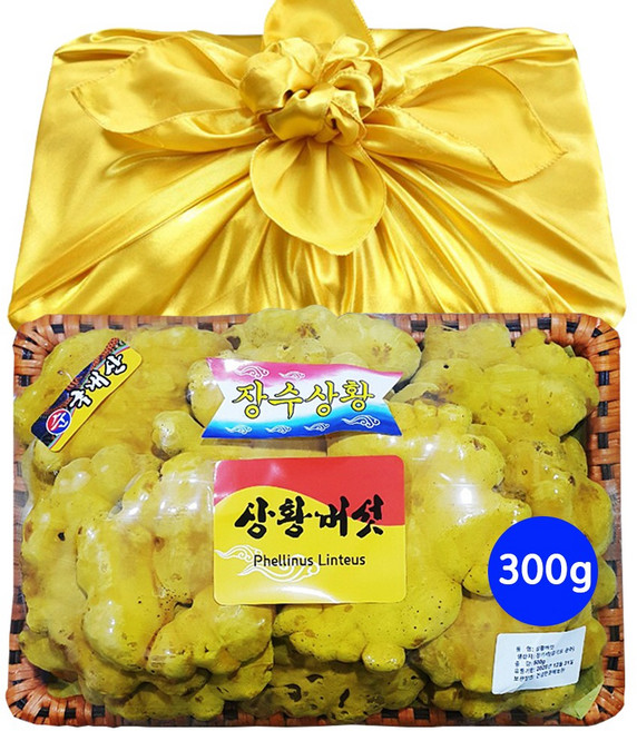 국내산 상황버섯 분말 100% 국산 장수 상황 버섯 베타글루칸 에너지 물 진액 차 가루 특상품 선물세트 실속형 대용량, 300g, 1개, 특상품 선물세트 300g