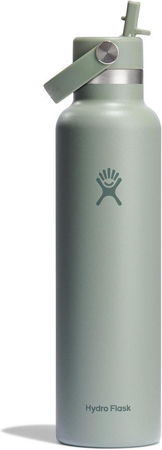하이드로 플라스크 24온스(710ml) 스테인리스 스틸 스탠다드 마우스 뚜껑 스트로 텀블러, 1개, 710ml, 아가베