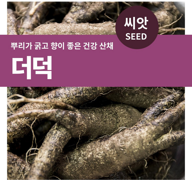 마이플랜트 더덕 뿌리 채소 씨앗 1500립, 1개