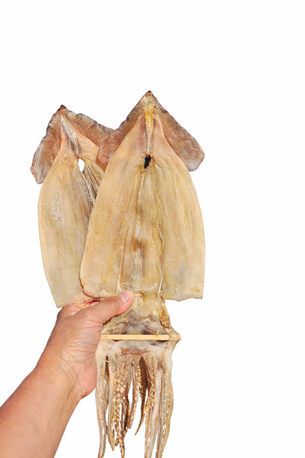 국내산 마른오징어 동해안 영덕 해풍 건조오징어 마른안주 맥주안주, 10개, 2kg